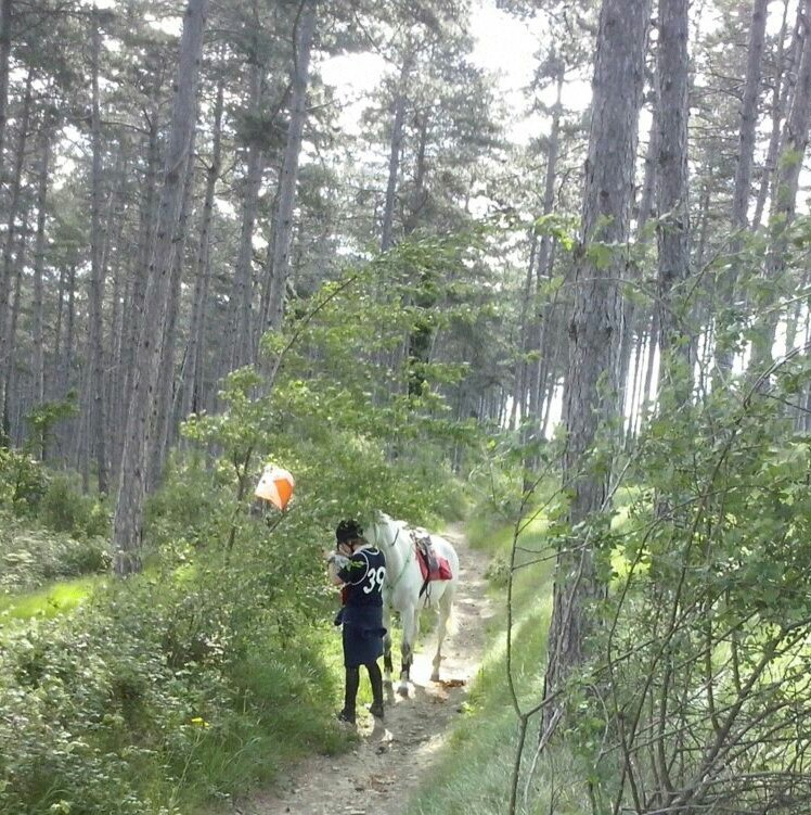 Miriam Ayerra Campeona Absoluta y Mikel Cano Campeón SUB 21 en el Campeonato Navarro de Trec